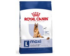 Royal Canin Maxi Adult 5 + karma sucha dla psów starszych, od 5 do 8 roku życia, ras dużych